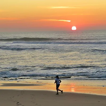 Moinho Do Avo Joao 度假居 *