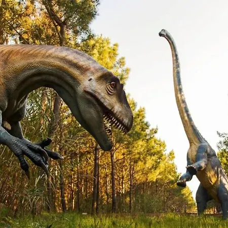 Moinho Do Avo Joao 度假居 *